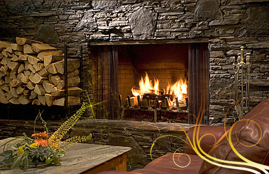 �������, dimplex, jotul